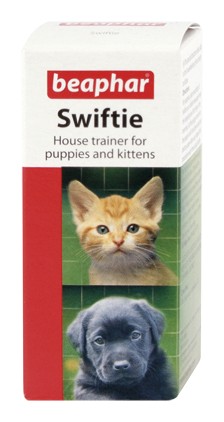 Swiftie Trainer