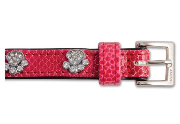 SPARKLY PAW CROCK LEATHER COLLAR 3 10320