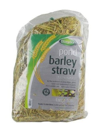 Blagdon Barley Straw Large
