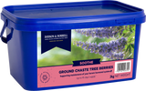 Dodson & Horrell CHASTE BERRY