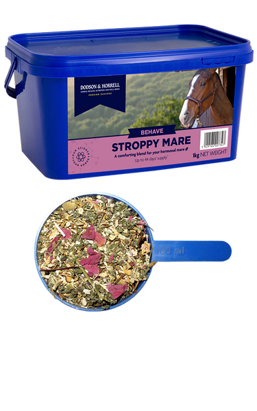 Dodson & Horrell Stroppy Mare