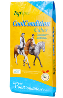 Topspec COOL CONDTION CUBES