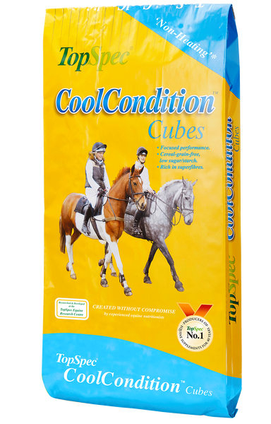 Topspec COOL CONDTION CUBES