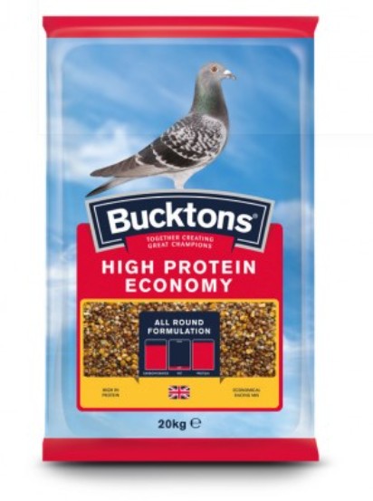 BUCKTONS ECONOMY H.P. PIGEON