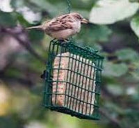 COPDOCK SUET CAKE MEALWORM