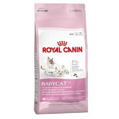Royal Canin BABY CAT 34