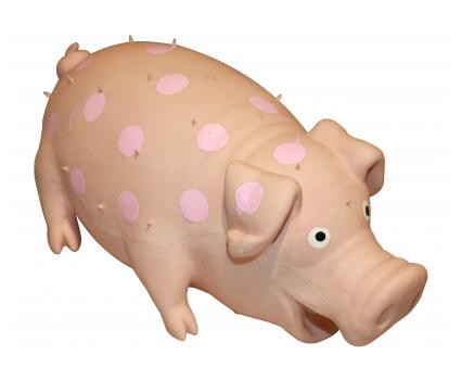 Latex Pig