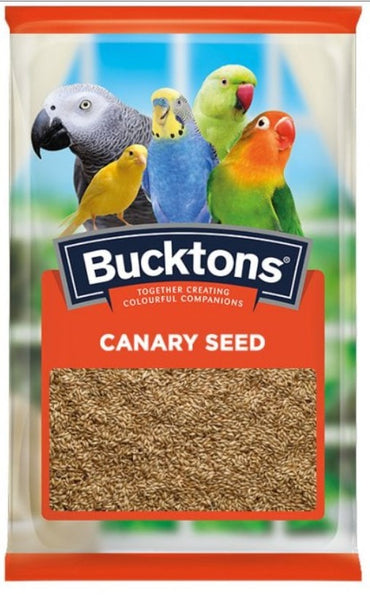 Bucktons Plain Canary Seed