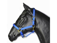 HY DE LUXE PADDED Headcollar FULL BLUE