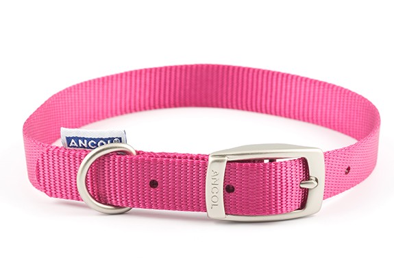 Ancol 45cm Nylon Dog Collar Rasp 310350