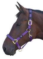 HY Headcollar PONY PURPLE