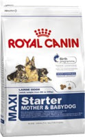 Royal Canin Maxi STARTER
