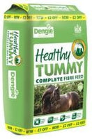 DENGIE Healthy Tummy
