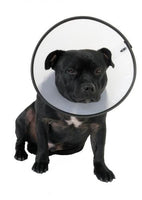 SMART COLLAR SIZE 2 10-12"