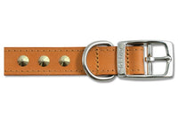 Ancol Dog Collar 21" - 24" Stud Tan