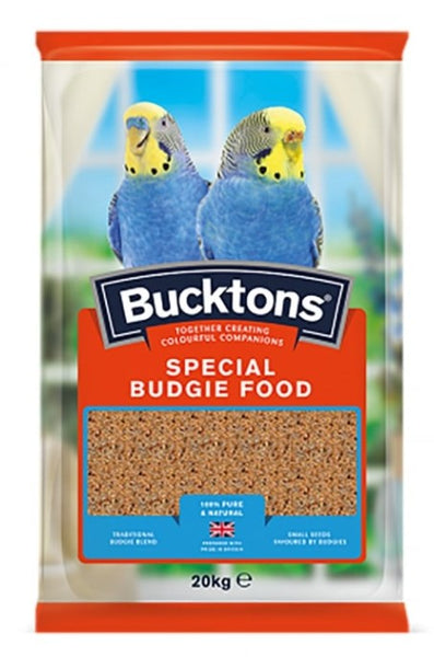 BUCKTONS SPECIAL BUDGIE
