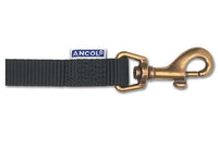 Ancol 1"x 1M" Nylon Dog Lead Black