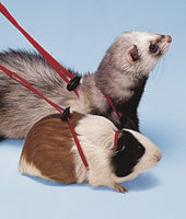 FERPLAST GUINEA PIG/FERRET HARNESS